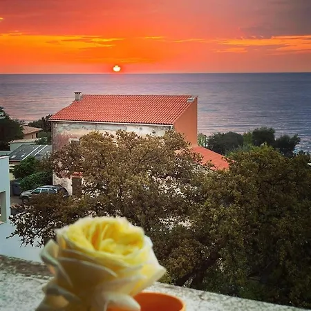 Appartement De 2 Chambres A Sari Solenzara A 200 M De La Plage Avec Vue Sur La Mer Et Wifi Apartment *